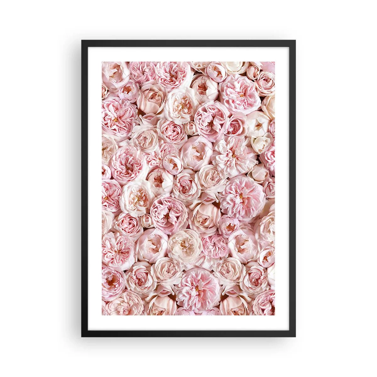 Affisch i svart ram - Ett romantiskt arrangemang av rosa blommor i närbild - 50x70cm - Strödd med rosor - Modern väggdekoration för vardagsrum och sovrum ARTTOR