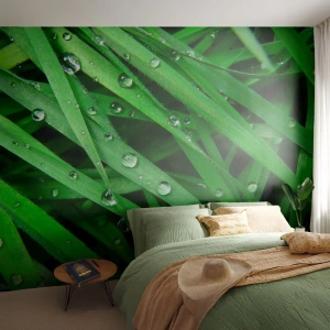 Fototapet Premium Sand - Spela grönt - Natur, Grönt gräs, Trädgård - 250x175 cm