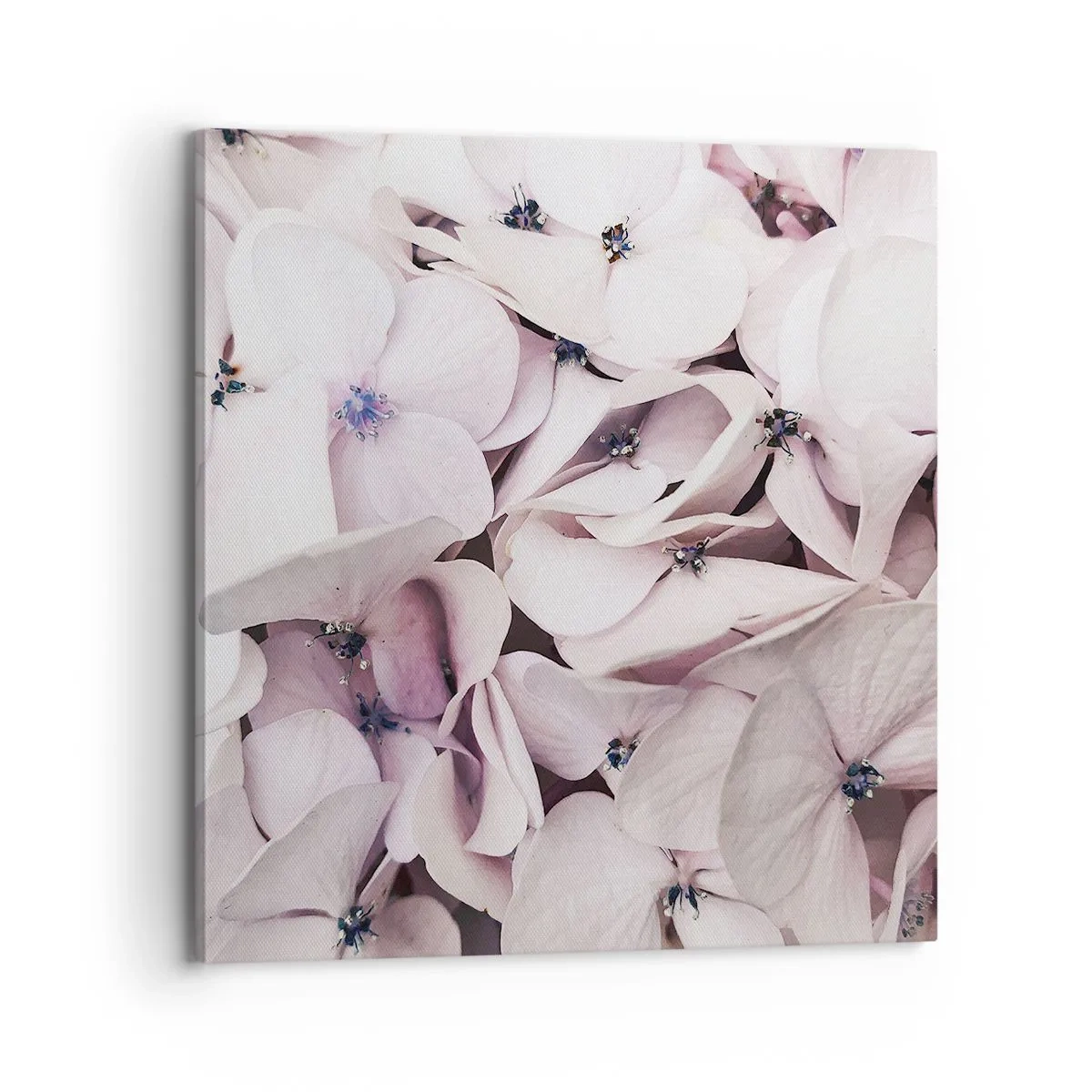 Canvastavla - Bild på duk - I en flod av blommor - 70x70 cm