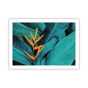 Affisch - Edens blomma - 70x50 cm