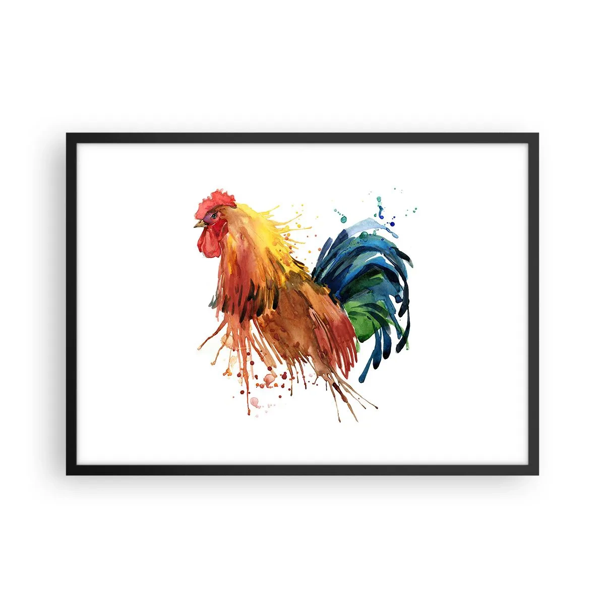 Affisch i svart ram - Kungliga kläder, kunglig stolthet - 70x50 cm