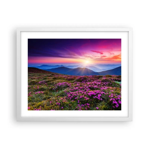 Affisch i vit ram - Doftande örter - 50x40 cm