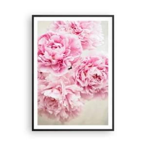 Affisch i svart ram - Rosa prakt - 70x100 cm
