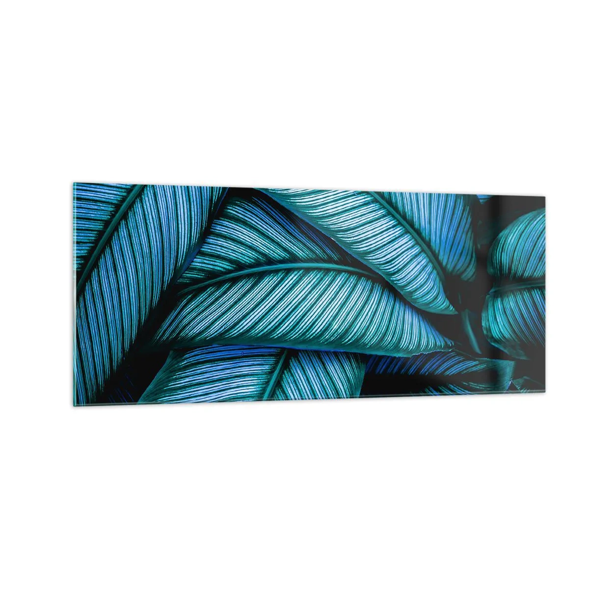 Glastavla - Bild på glas - Livslinjer - 100x40 cm