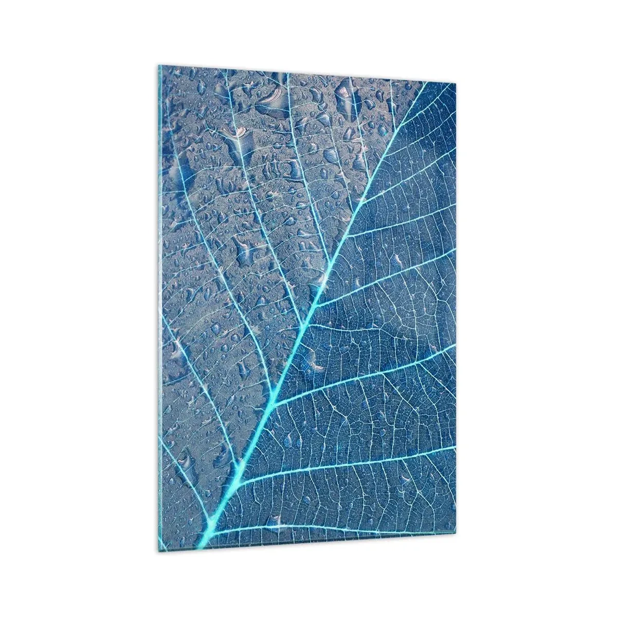 Glastavla - Bild på glas - Livet i det blåa - 80x120 cm