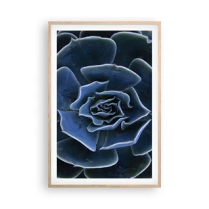 Affisch i ram av ljusek - Öknens blomma - 61x91 cm