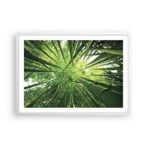 Affisch i vit ram - I en bambushage - 70x50 cm