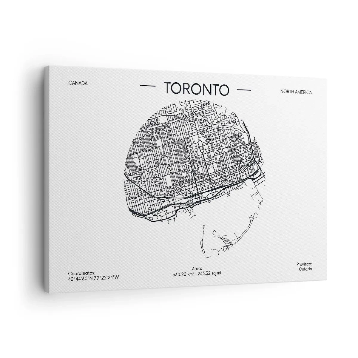 Canvastavla - Bild på duk - Torontos anatomi - 70x50 cm