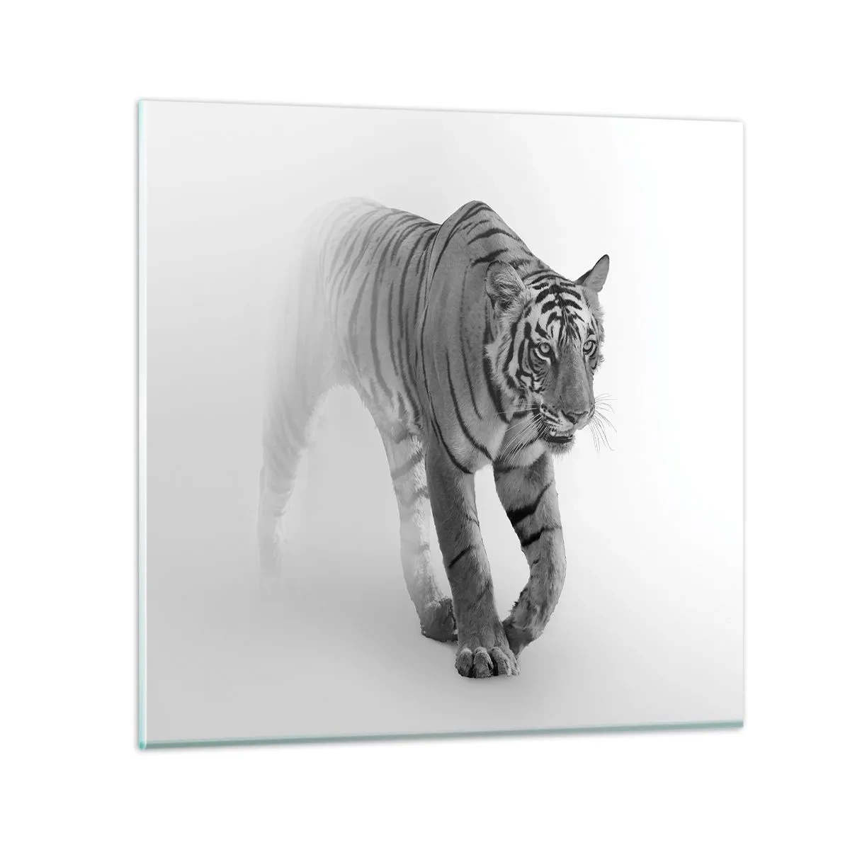 Glastavla - Bild på glas - Gömd i dimman - 70x70 cm