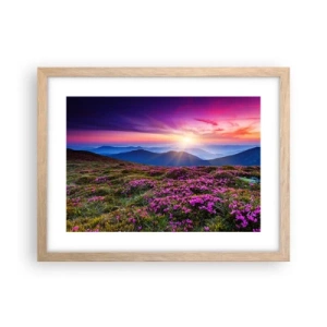 Affisch i ram av ljusek - Doftande örter - 40x30 cm