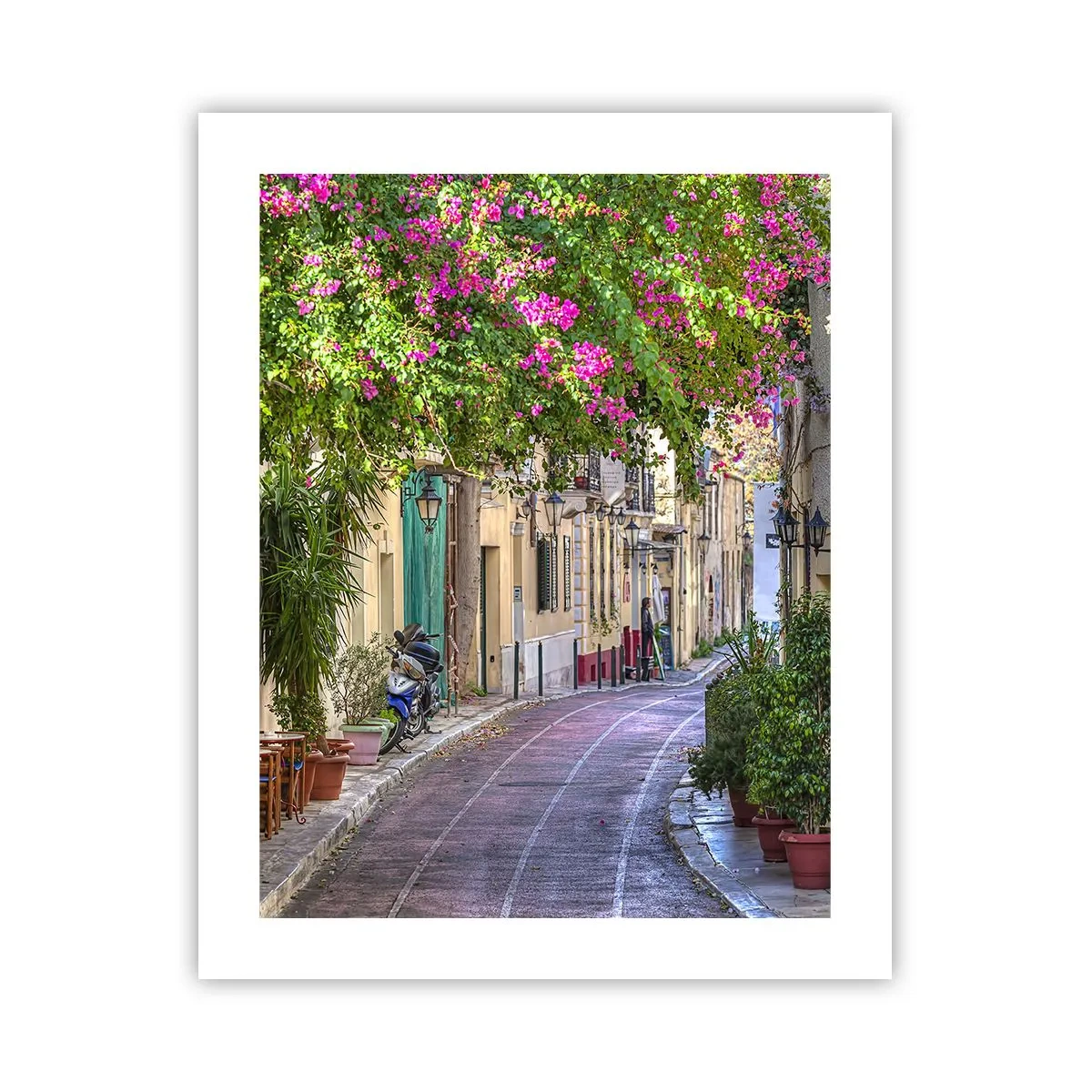 Affisch - Blommande gata - 40x50 cm