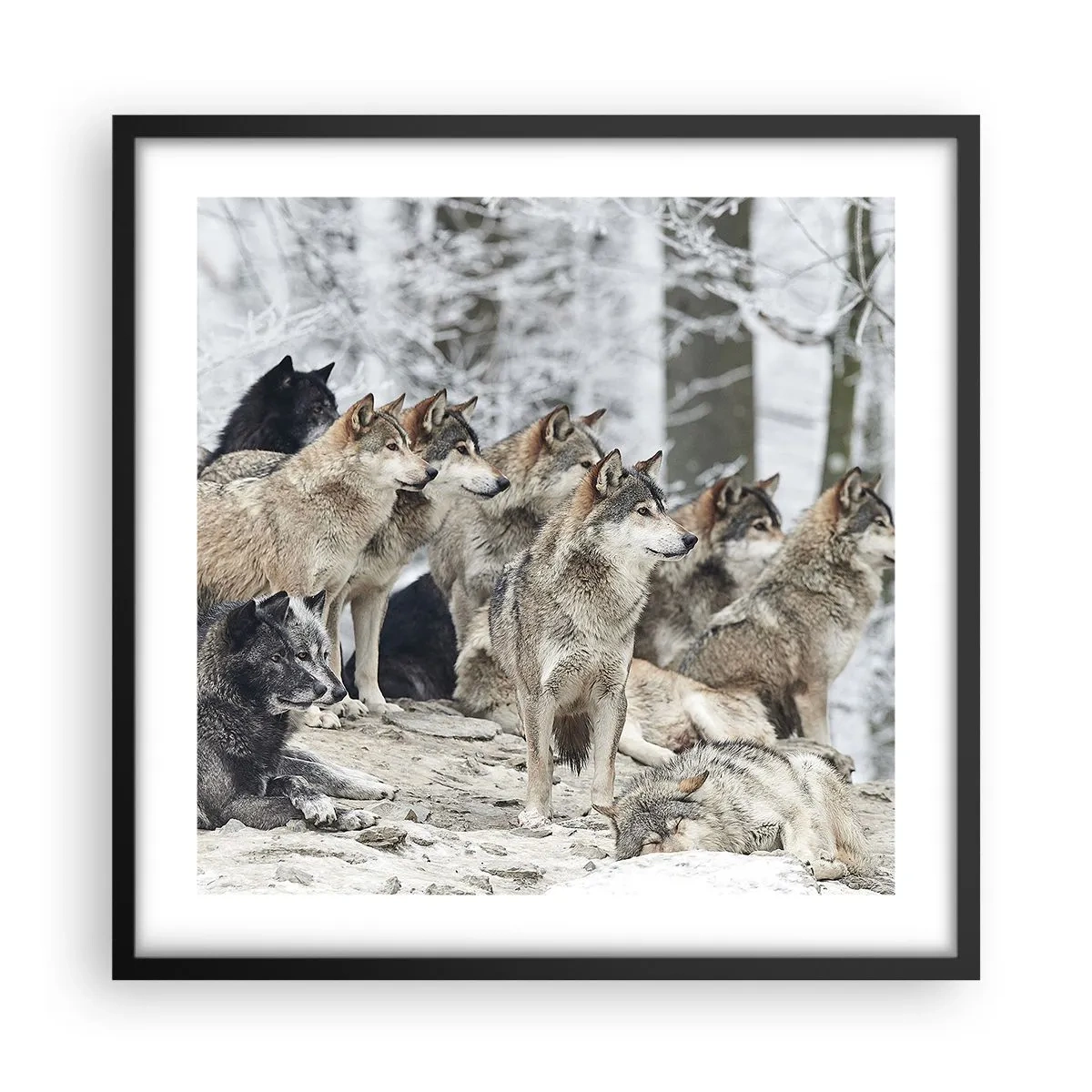 Affisch i svart ram - Familj och vänner - 50x50 cm