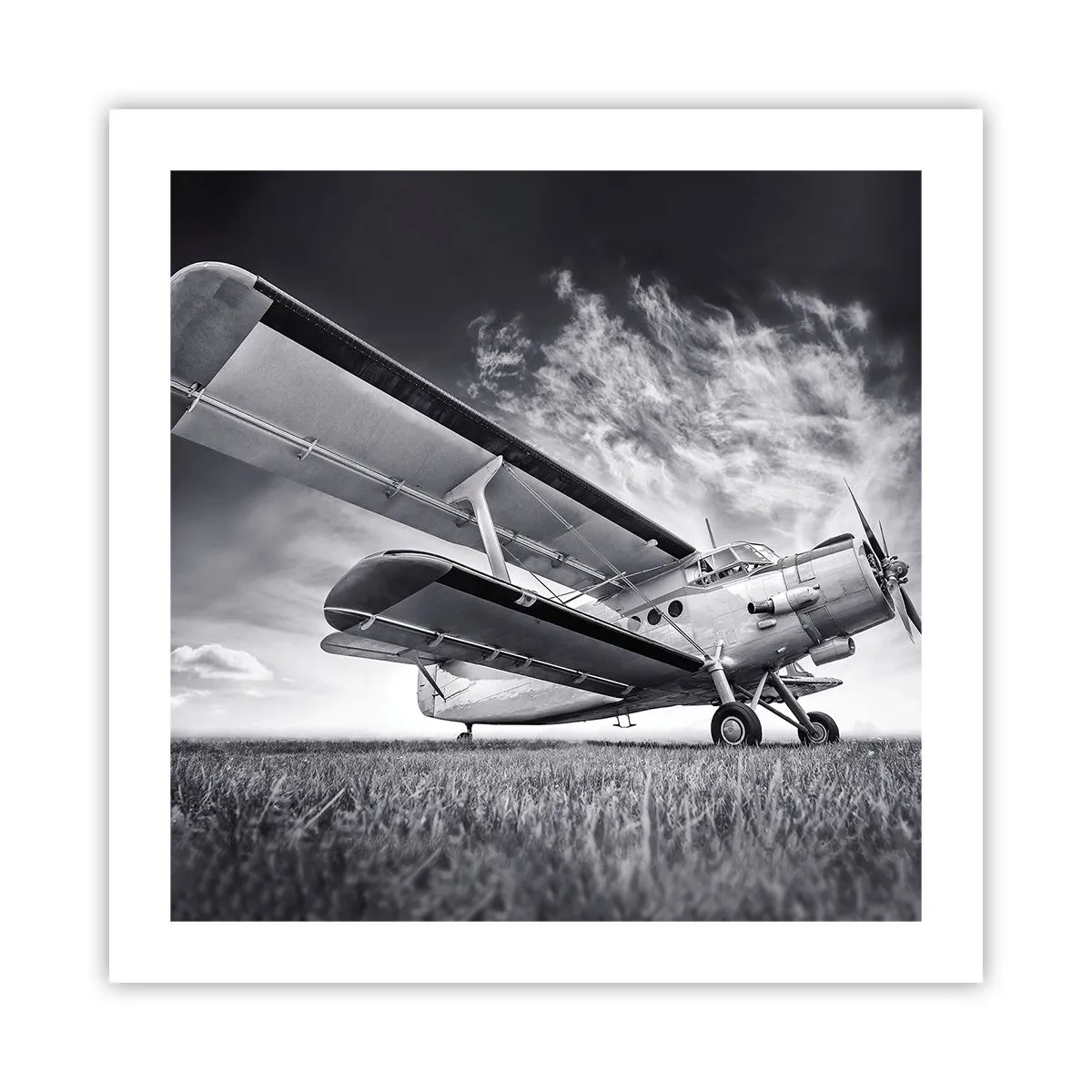 Affisch - Bevingad vandrare - 50x50 cm