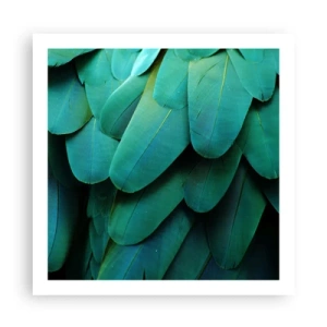 Affisch - Precision av papegojans natur - 60x60 cm