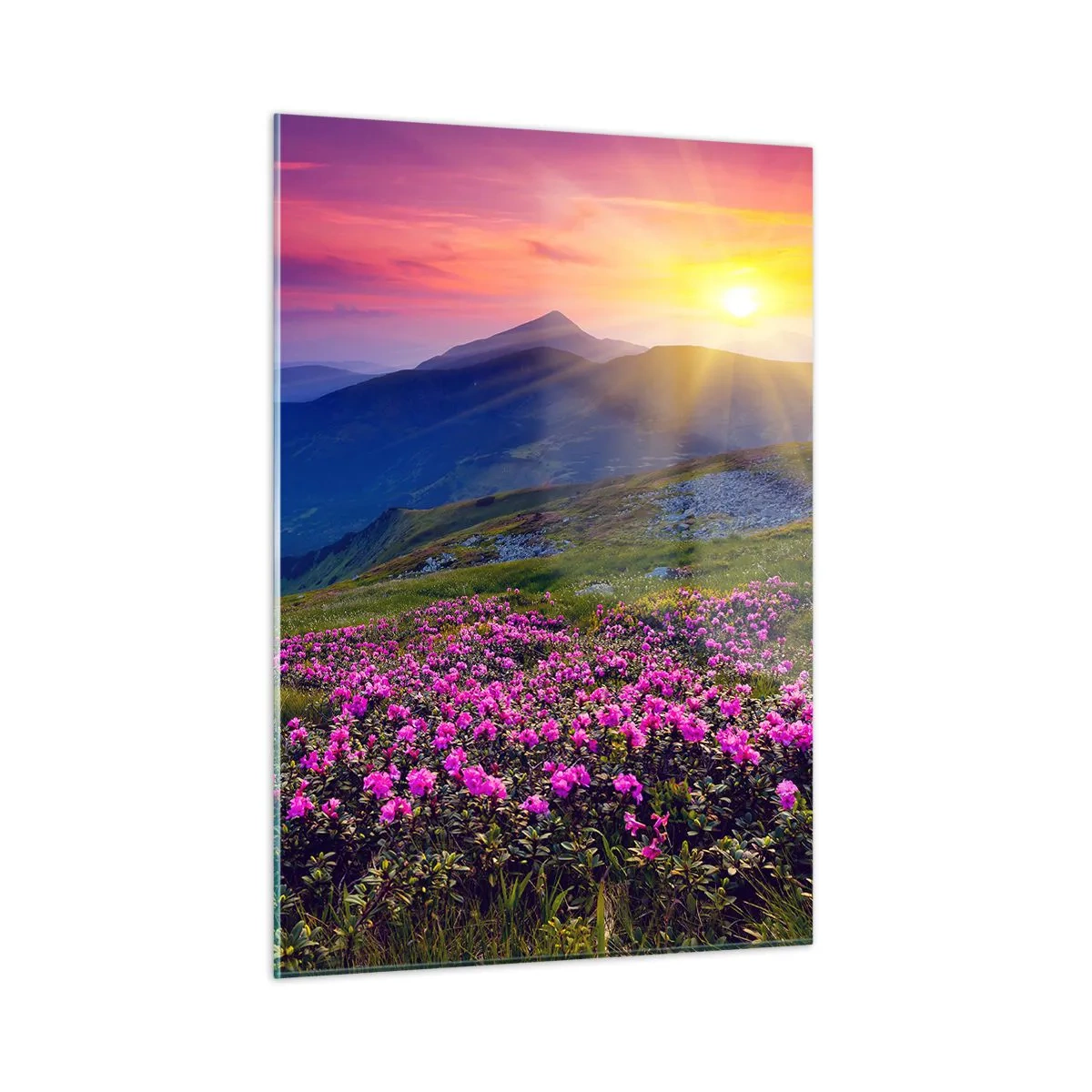 Glastavla - Bild på glas - … Bergtallen doftar och örterna luktar runt omkring - 50x70 cm