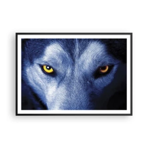 Affisch i svart ram - Hypnotiserade titt - 100x70 cm