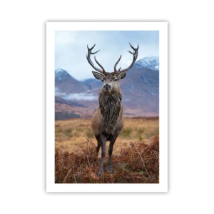 Affisch - På egen mark - 50x70 cm