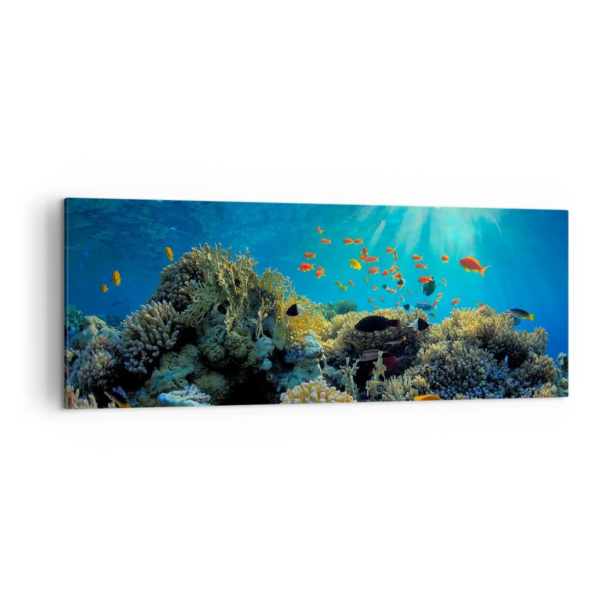 Canvastavla - Bild på duk - Undervatenskatter - 140x50 cm