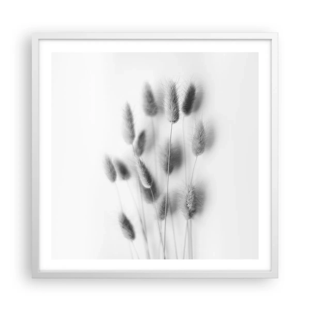 Affisch i vit ram - Fluffigt gräs - 60x60 cm