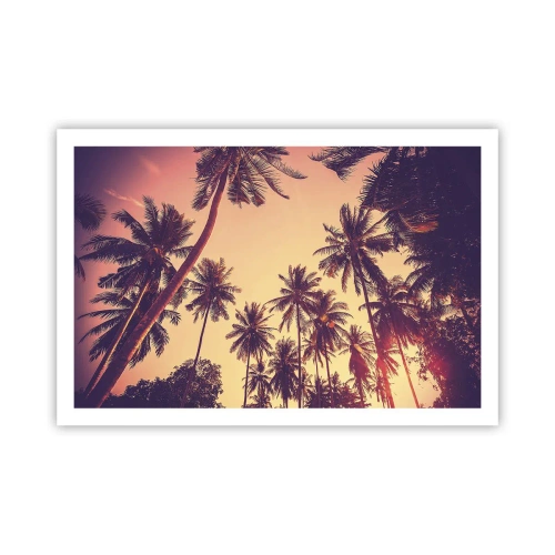 Affisch - Tropisk variation - 91x61 cm