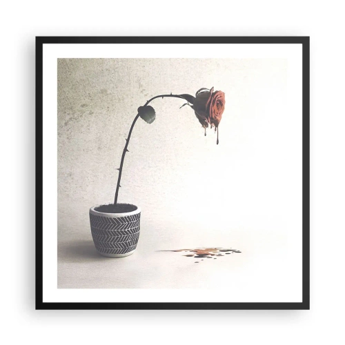 Affisch i svart ram - Rosa dolorosa - 60x60 cm