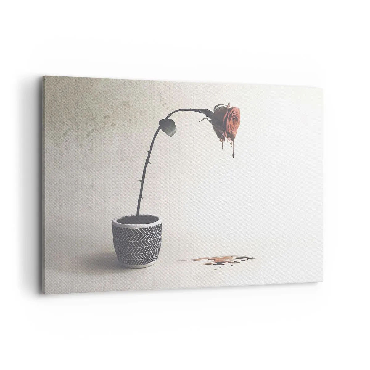 Canvastavla - Bild på duk - Rosa dolorosa - 100x70 cm