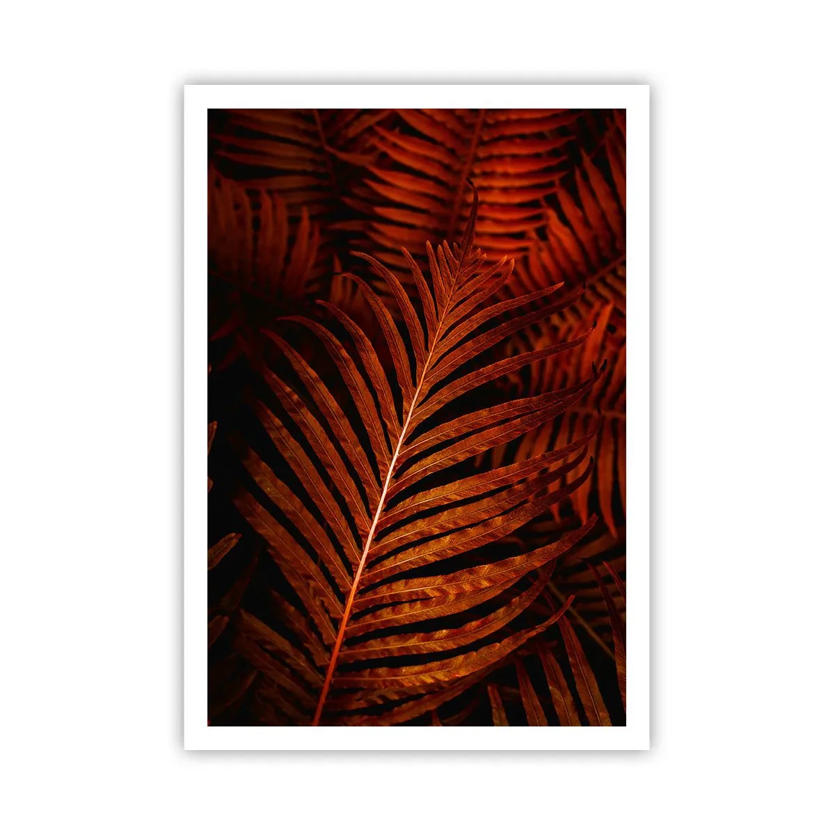 Affisch - Livets glöd - 70x100 cm