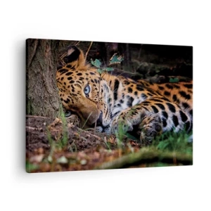 Canvastavla - Bild på duk - En leopard som ligger i skuggan av träd - 70x50cm - Tro mig - Modern väggdekoration för vardagsrum och sovrum ARTTOR