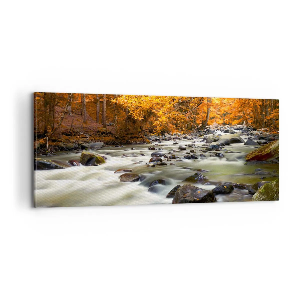 Canvastavla - Bild på duk - Bäck i guldskogen - 100x40 cm