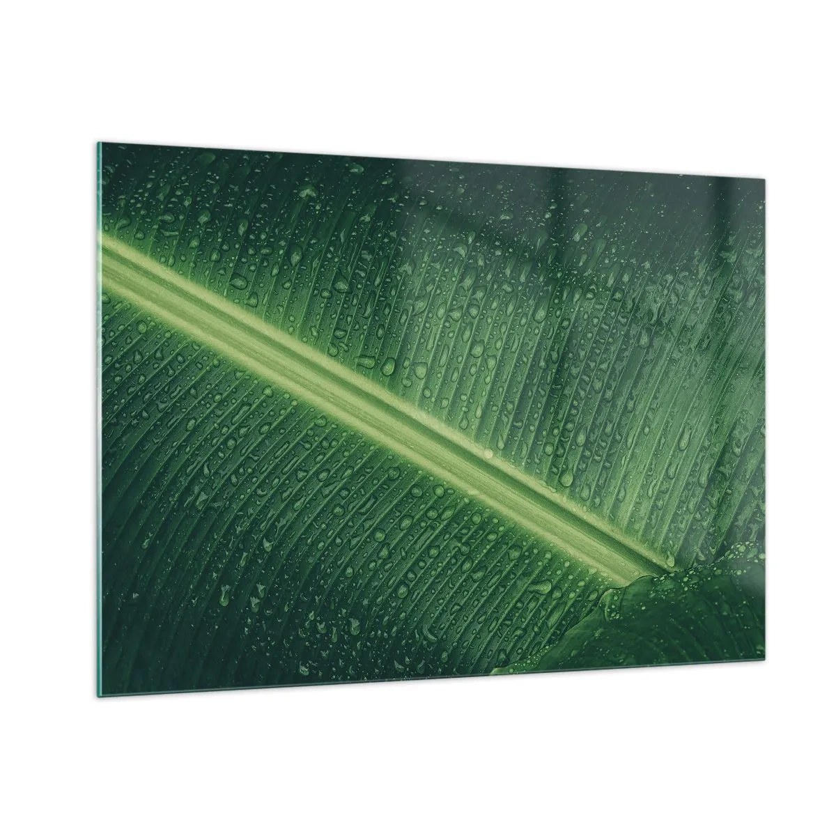 Glastavla - Bild på glas - Grönskans struktur - 100x70 cm