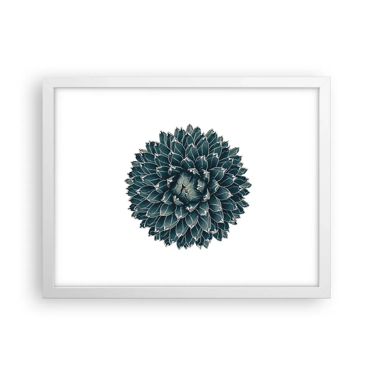 Affisch i vit ram - Öknens stjärna - 40x30 cm