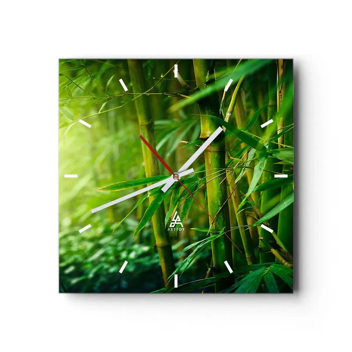 Väggklocka - Klocka på glas - Lär känna grönskan i sig - 40x40 cm