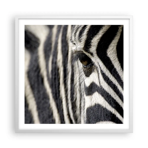 Affisch i vit ram - Randig porträtt - 60x60 cm