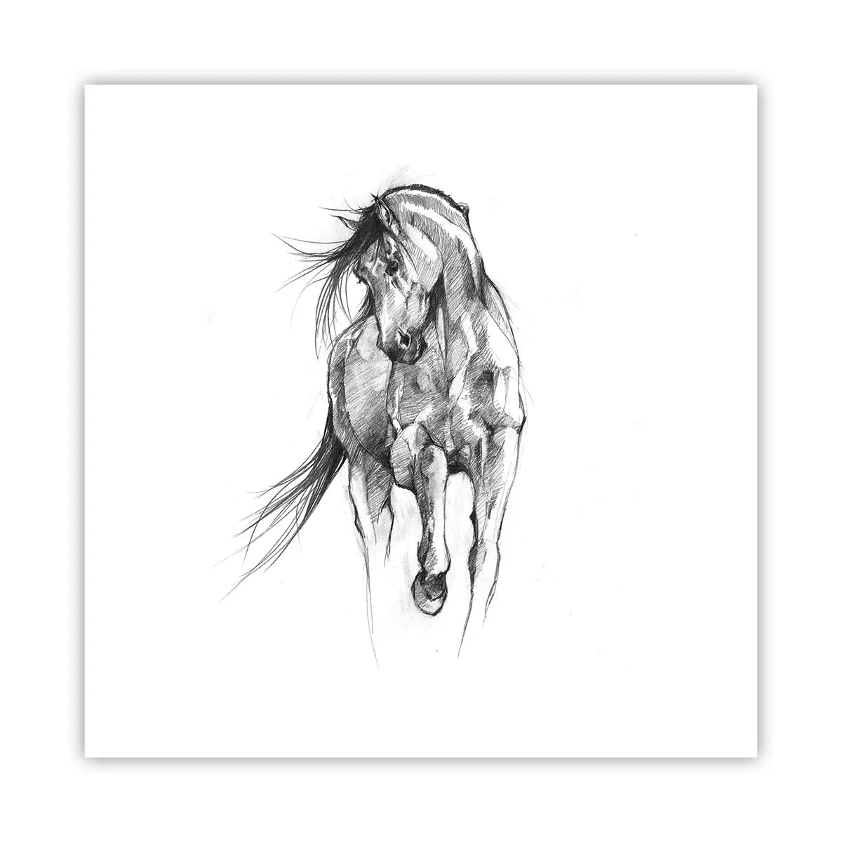 Affisch - Elegant trav - 40x40 cm