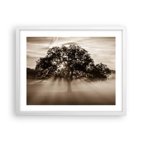 Affisch i vit ram - Trädet för kunskap om endast gott  - 50x40 cm