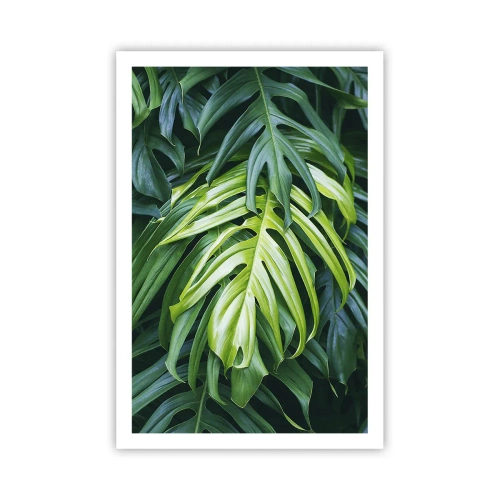 Affisch - Doppa sig i fräschheten - 61x91 cm