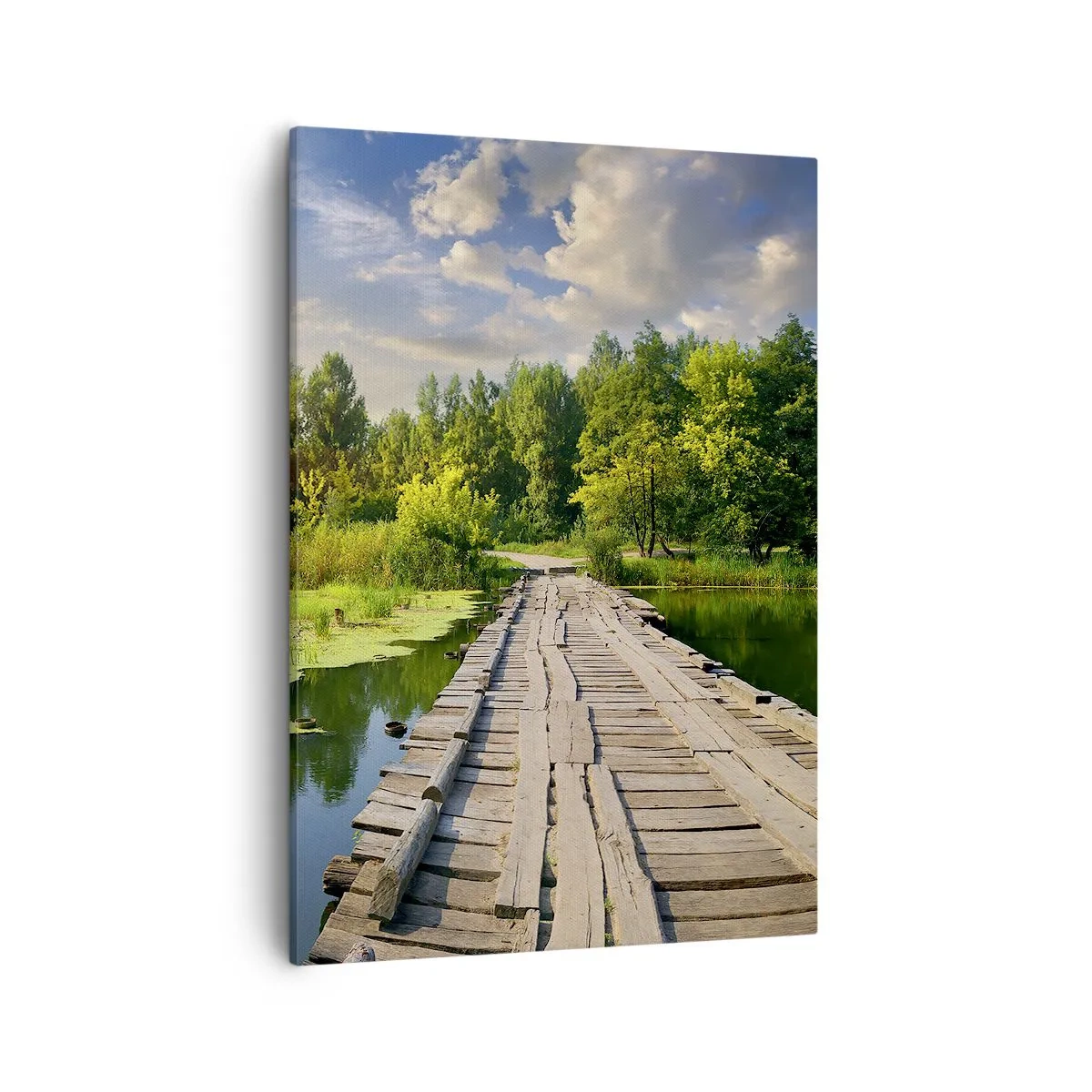 Canvastavla - Bild på duk - Sommar, sommar överallt - 50x70 cm