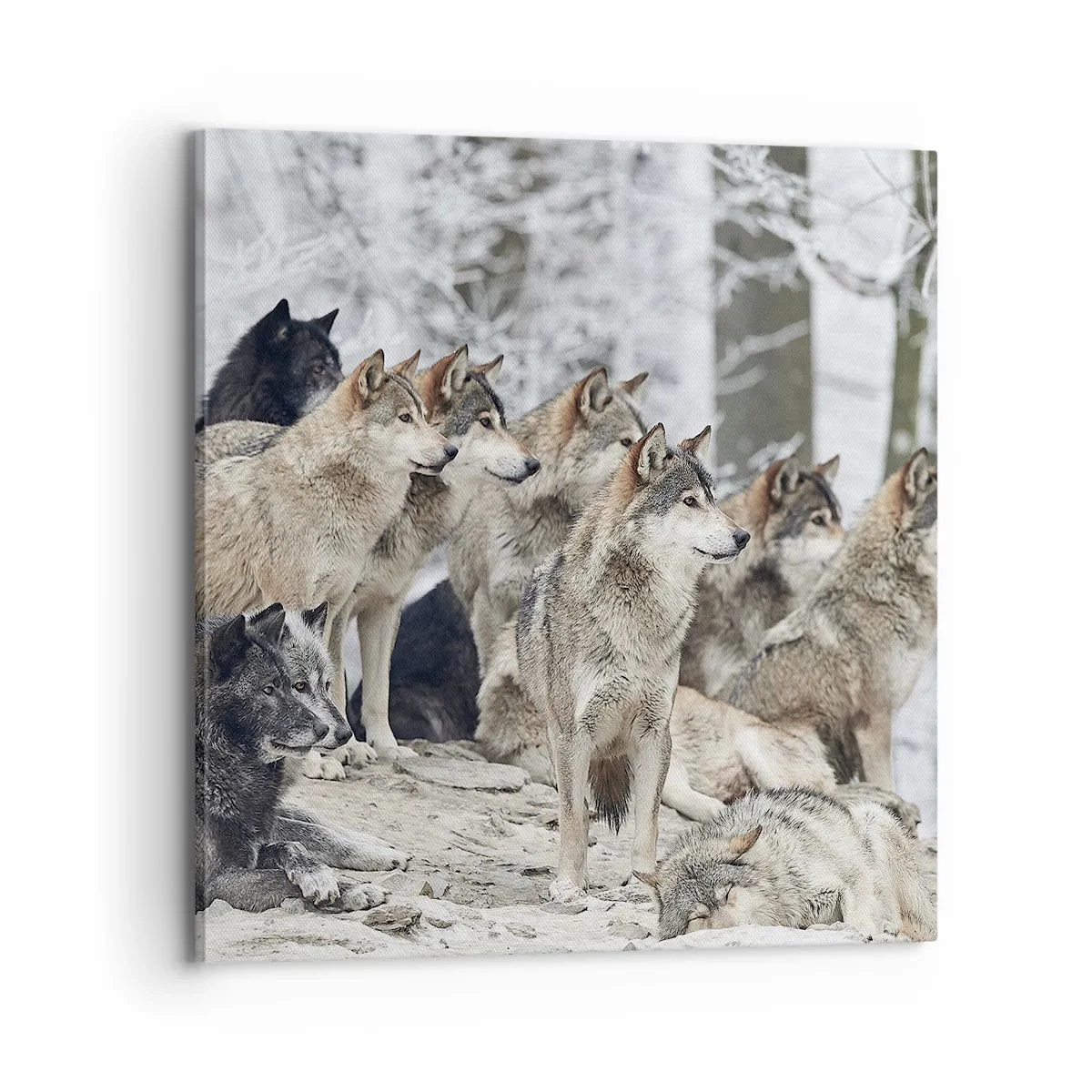 Canvastavla - Bild på duk - Familj och vänner - 70x70 cm