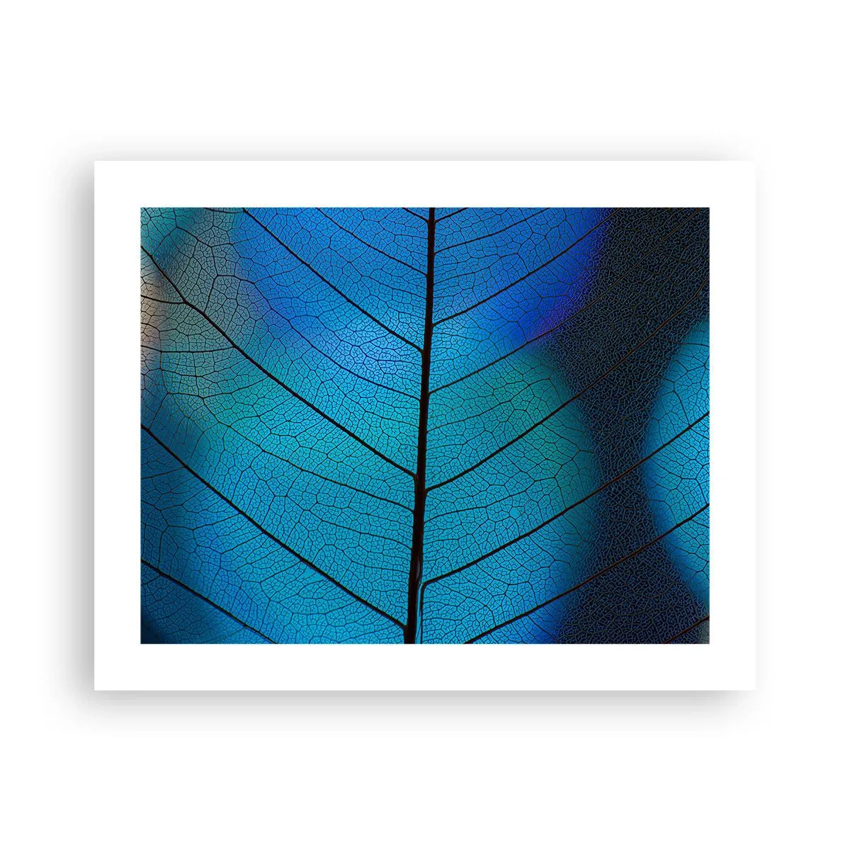 Affisch - Invecklad konstruktion - 50x40 cm