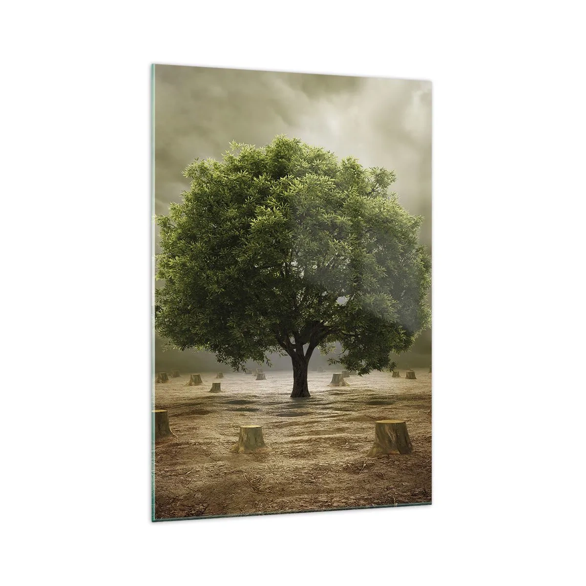 Glastavla - Bild på glas - Hela hoppet - 70x100 cm