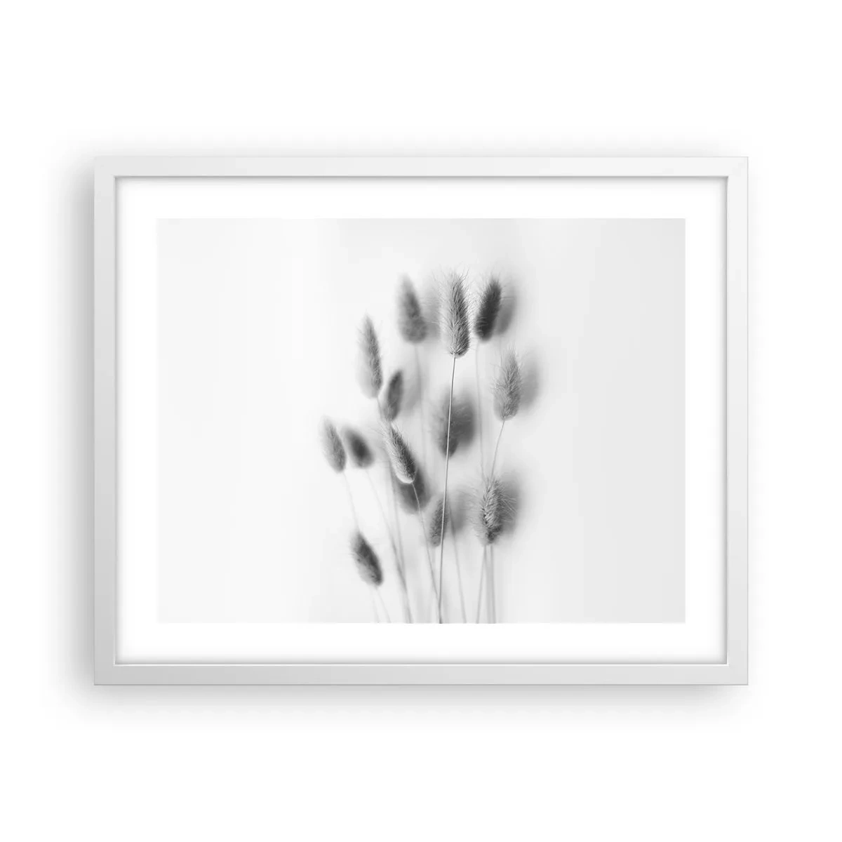 Affisch i vit ram - Fluffigt gräs - 50x40 cm