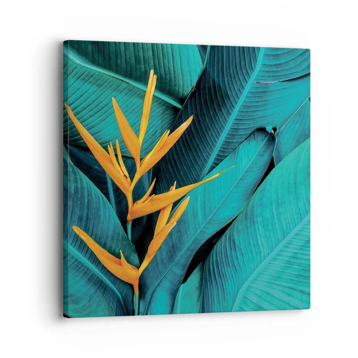 Canvastavla - Bild på duk - Edens blomma - 30x30 cm