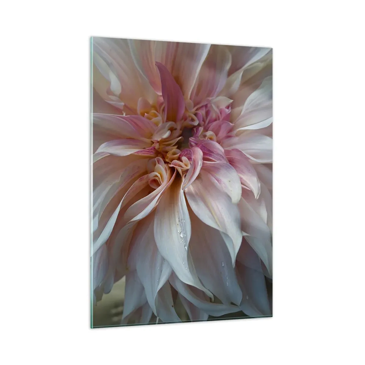 Glastavla - Bild på glas - Blommande friskhet - 50x70 cm