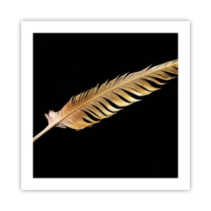 Affisch - Fjäder... - 50x50 cm