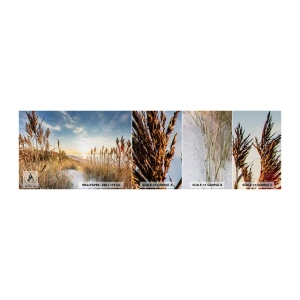 Fototapet Prov Standard Eco - Nordlig strand - Landskap, Hav, Strand - 100x30 cm