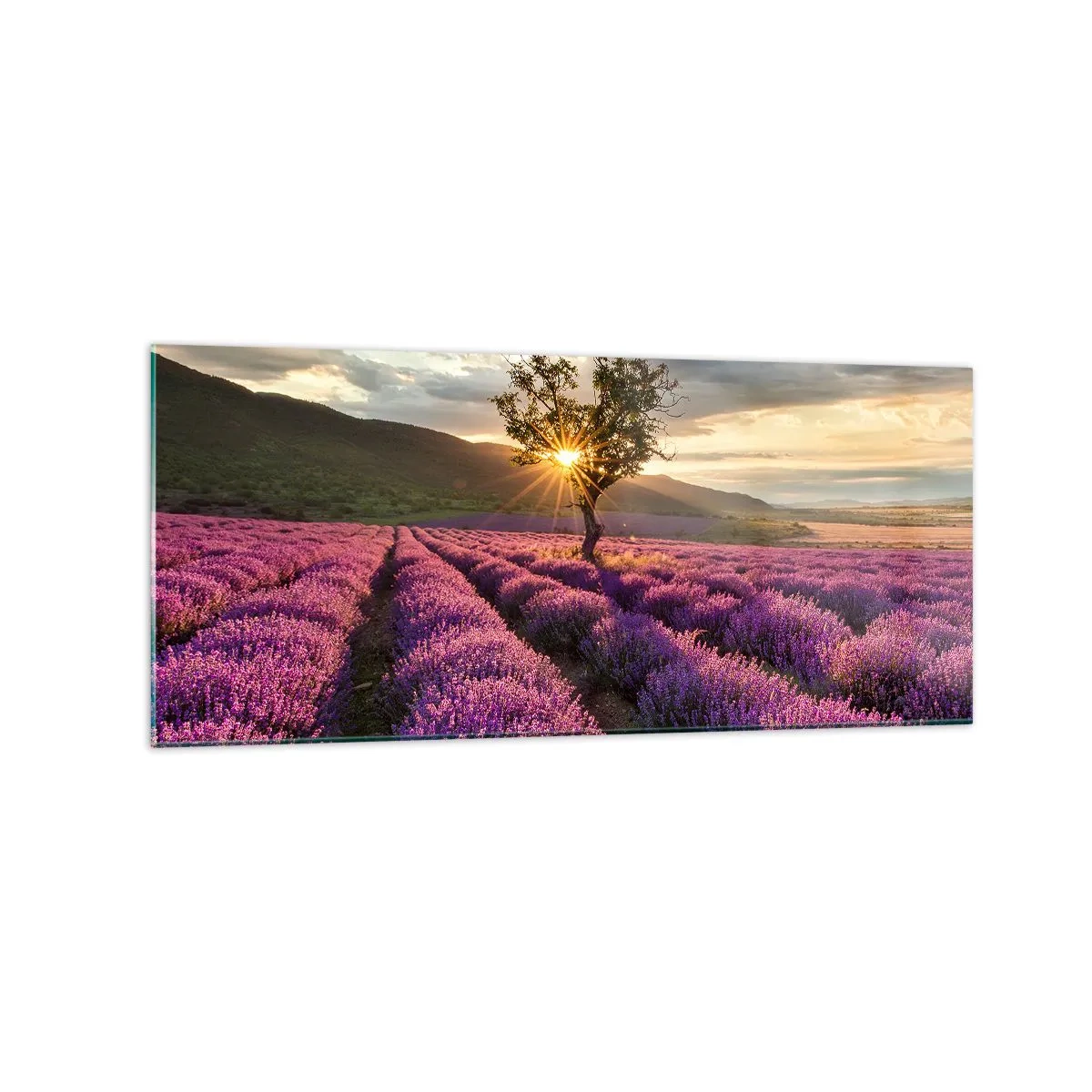 Glastavla - Bild på glas - Arom i lila färg - 120x50 cm