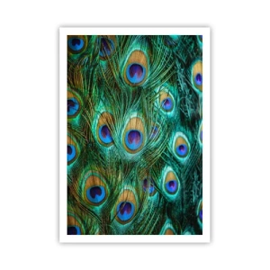 Affisch - Påfågels blick - 70x100 cm