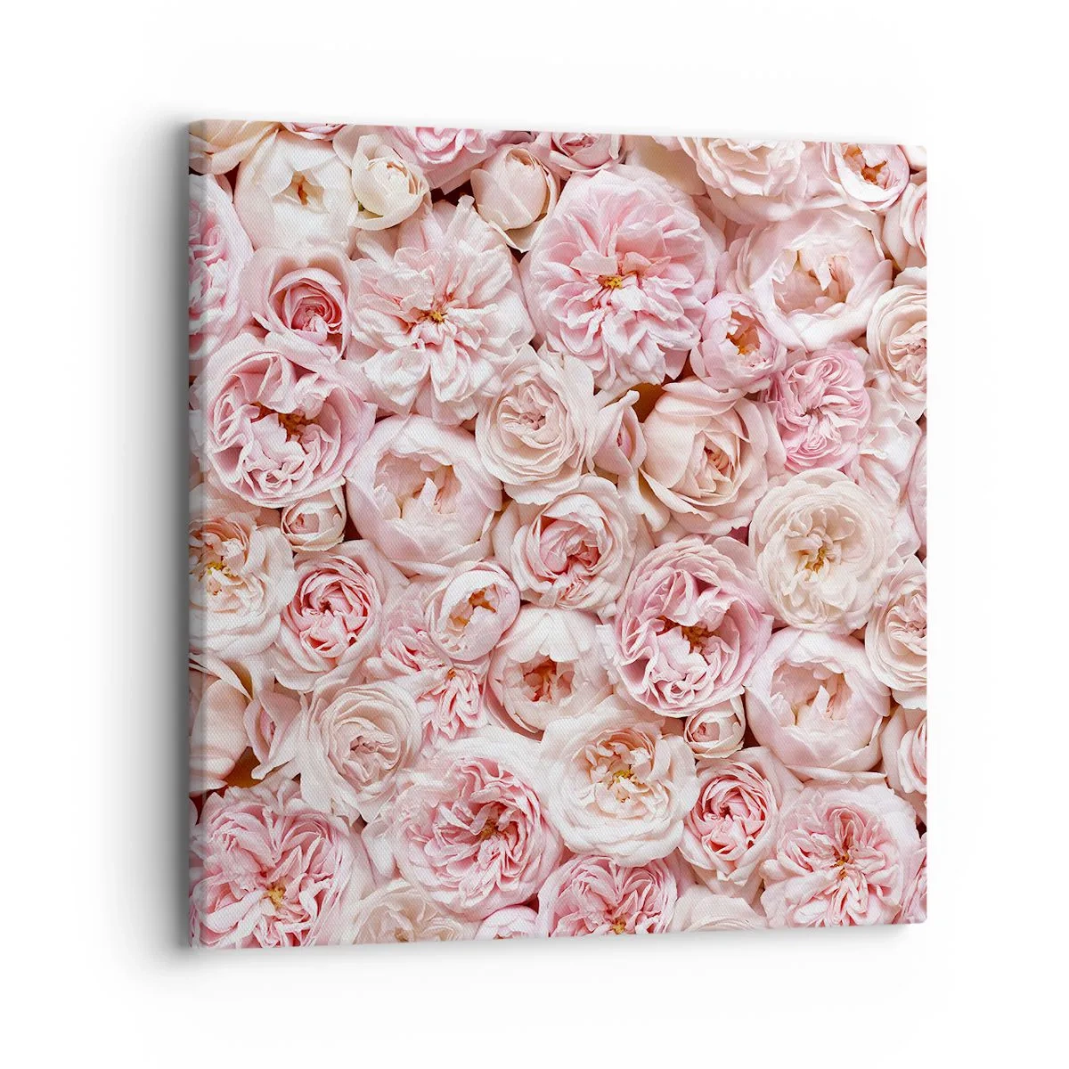 Canvastavla - Bild på duk - Strödd med rosor - 30x30 cm