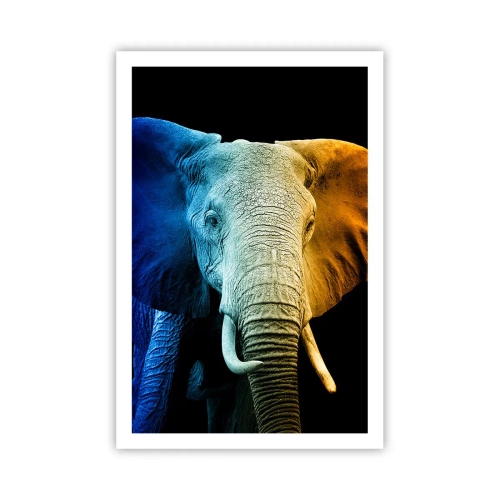 Affisch - Excentriker, ej kuf - 61x91 cm