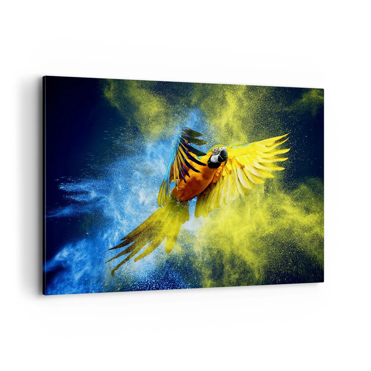 Canvastavla - Bild på duk - I blå-gult damm - 120x80 cm